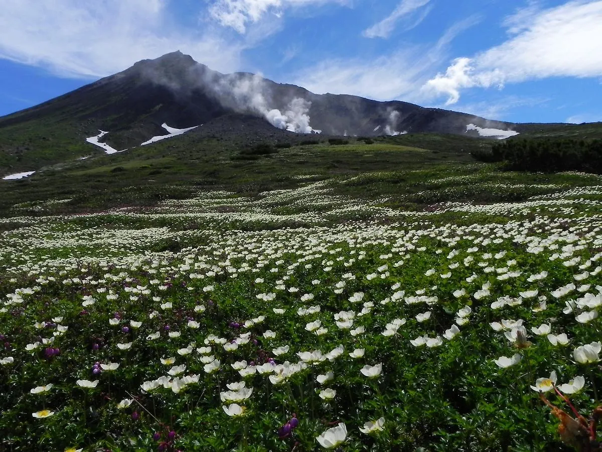 Asahidake Onsen Hotel Deer Valley Higasikava 3*, Aszahikava Japán